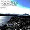 Cochise Parliament - When - Single